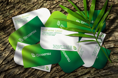 Biosensu環(huán)境咨詢公司 引領(lǐng)可持續(xù)未來(lái)的環(huán)保智慧