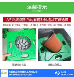 嘉澤包裝制品公司 人工生態(tài)浮島技術(shù)開(kāi)發(fā)與在線咨詢服務(wù)